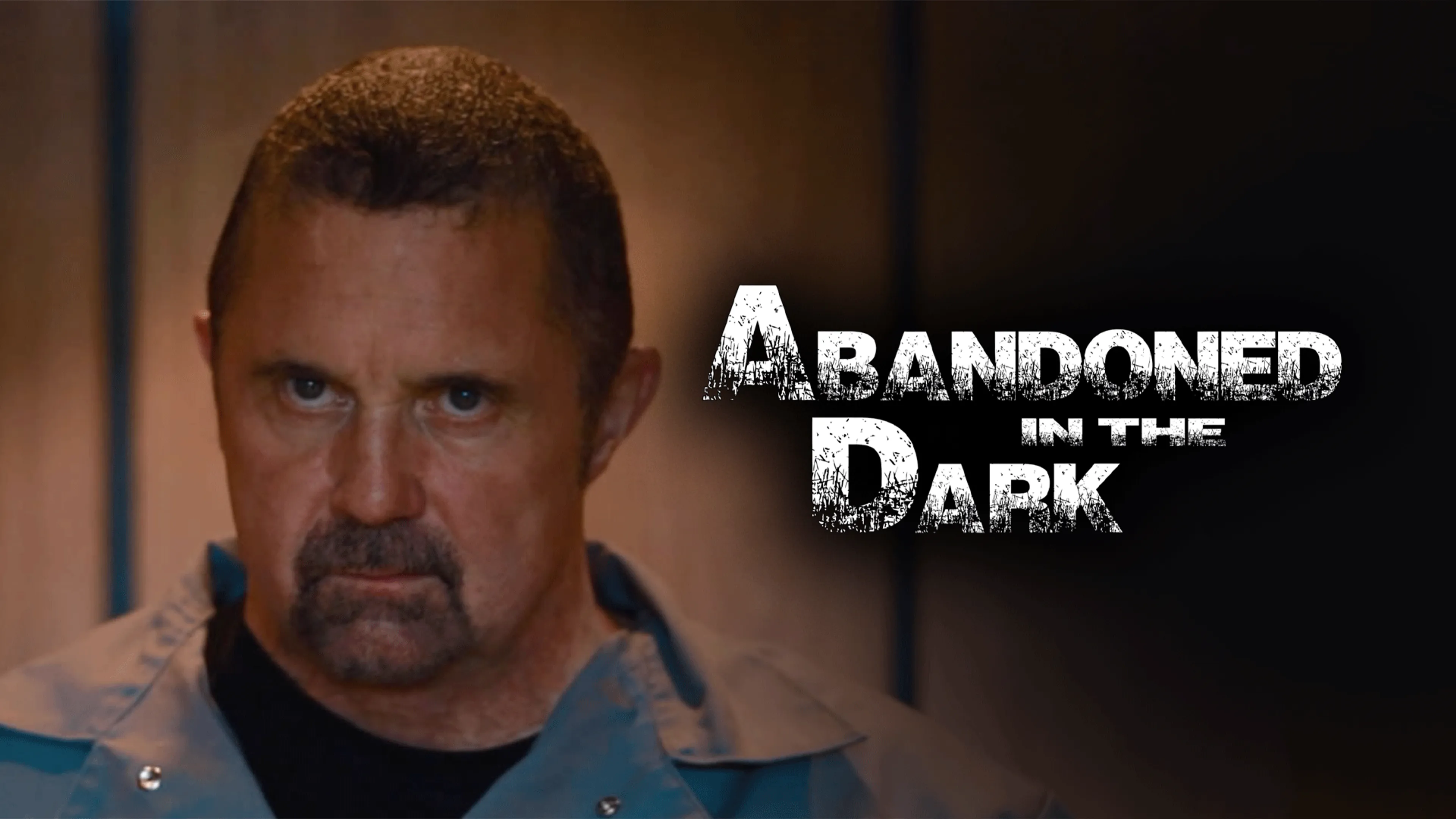 Abandoned in the Dark poster